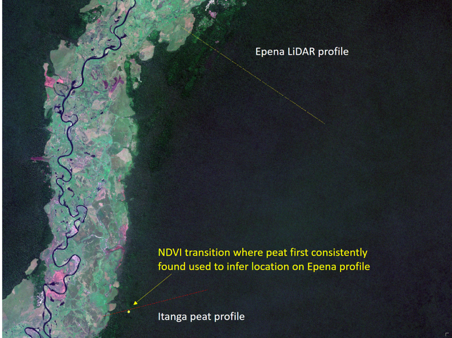Epena and Itanga peat profiles